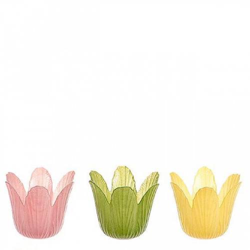 Glas Teelicht Tulpe mix D05.5cm H07.5cm
