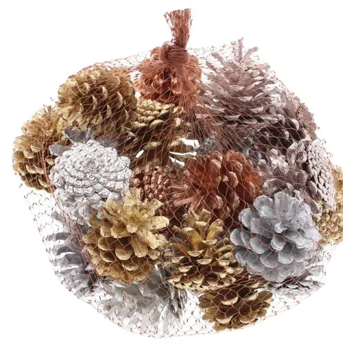 Trocken Tannenzapfen mix 500gr