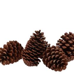 Trocken Maritima natur Small 05–09cm x50