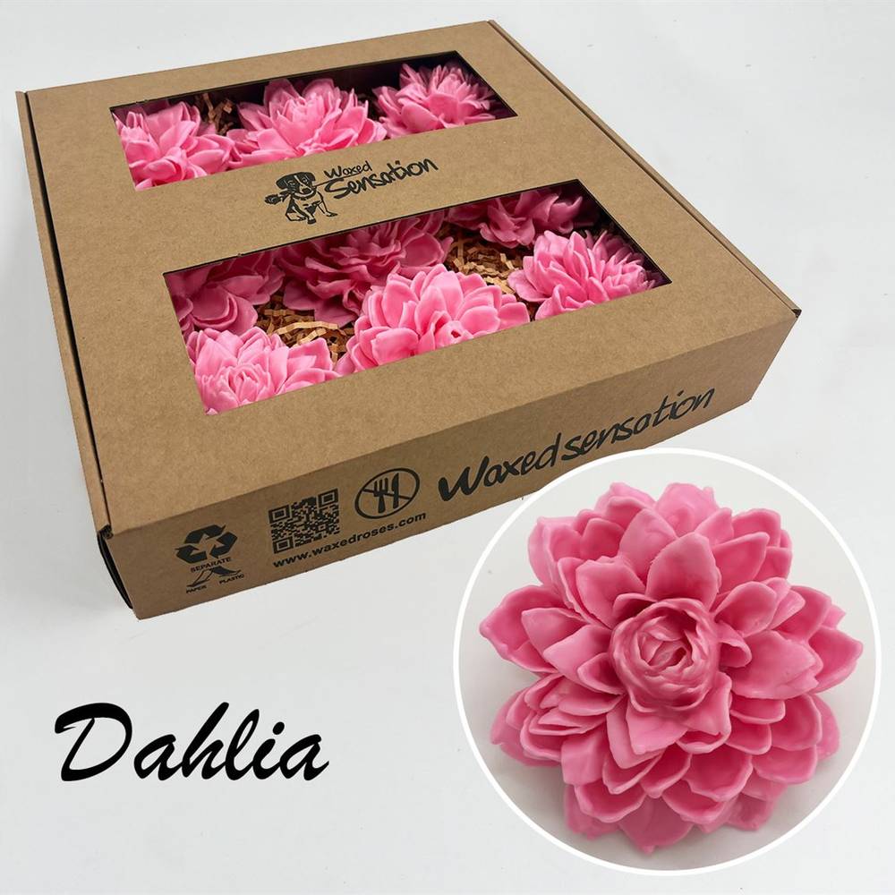 Seiden Wachs Dahlia rosa