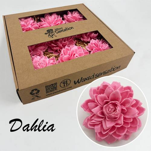Seiden Wachs Dahlia rosa