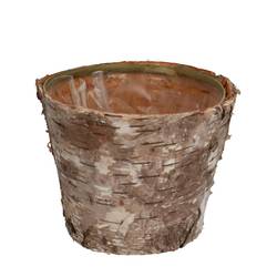 Birke Übertopf natur natur D13cm H10cm