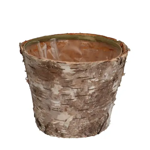 Birke Übertopf natur natur D13cm H10cm