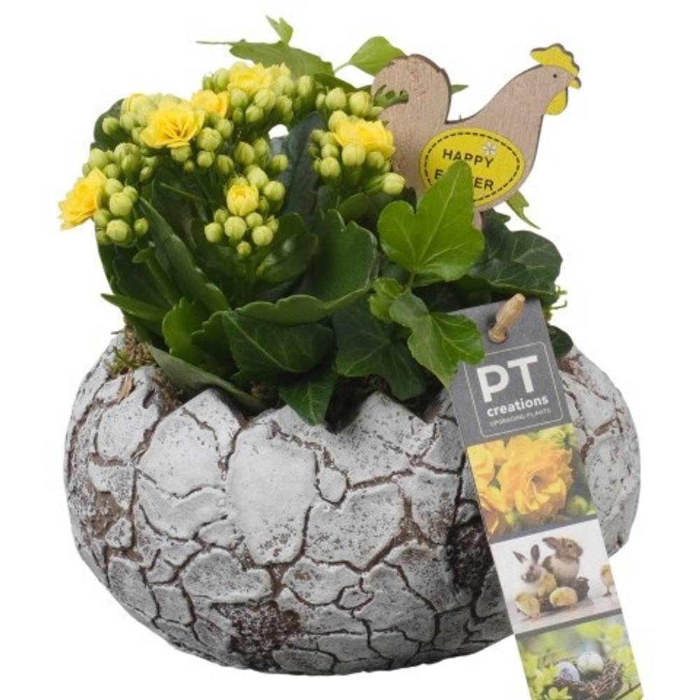 Kal.Arr PTPB6615 Ostern T16 H018