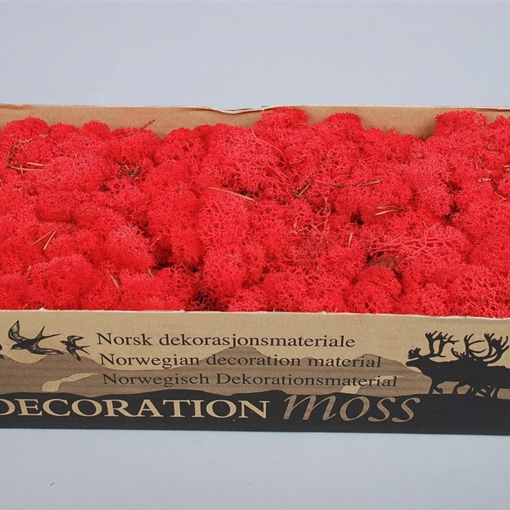 Islandmoos rot Pro 500 Gram