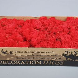 Islandmoos rot Pro 500 Gram