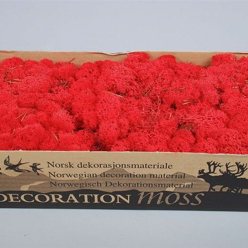 Islandmoos rot Pro 500 Gram