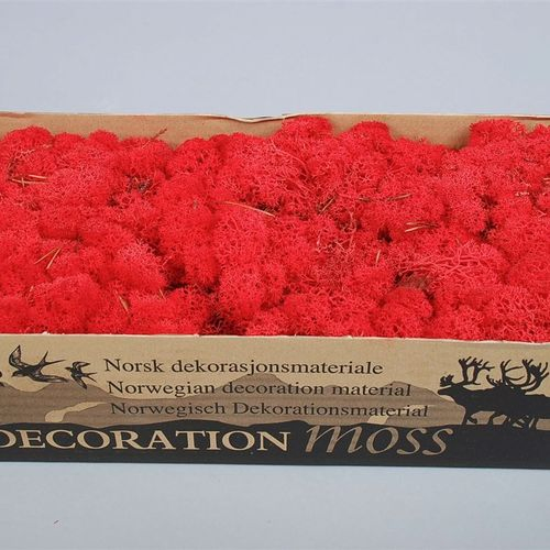 Islandmoos rot Pro 500 Gram