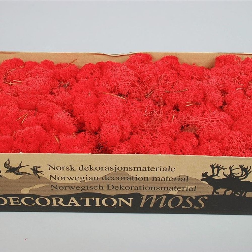 Islandmoos rot Pro 500 Gram