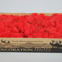 Islandmoos rot Pro 500 Gram