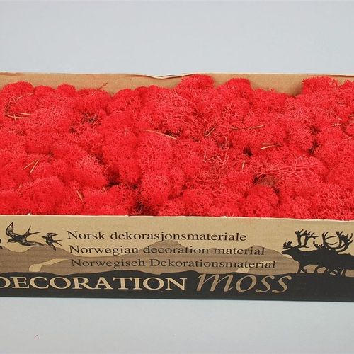 Islandmoos rot Pro 500 Gram