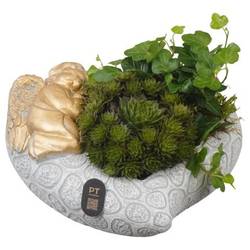 Semper.Arr PTAH3021 Allerheiligen T20 H013
