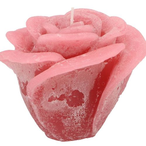 Kerze Rose dunkel rosa 14x12cm