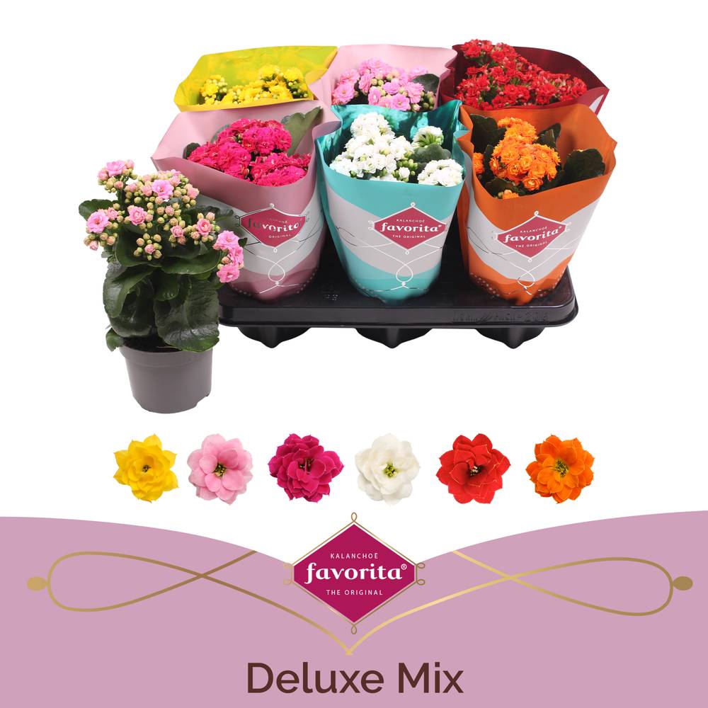 Kal.Gef. mix T10,5 H022
