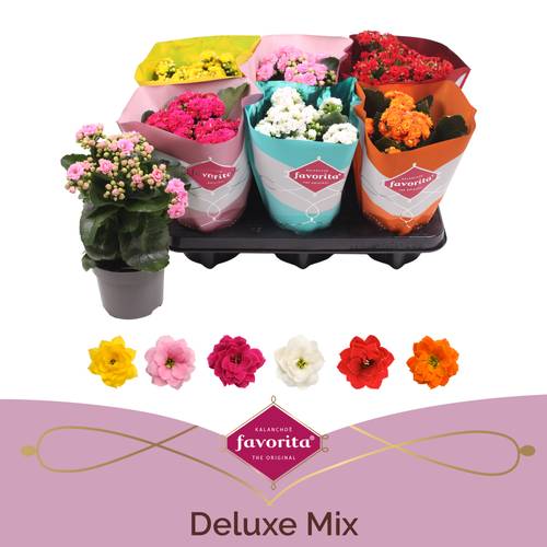 Kal.Gef. mix T10,5 H022