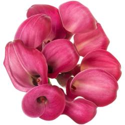 Calla cerise Fantasia 70cm