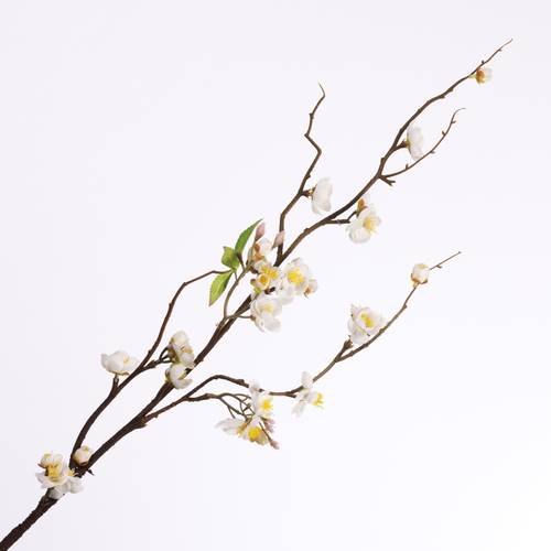 Seiden Pflaumenblüte creme L95cm