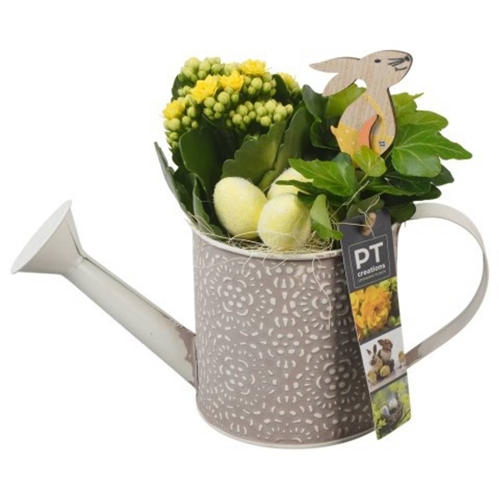 Kal.Arr PTPB6444 Ostern T11 H021