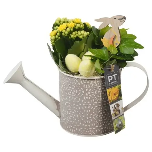 Kal.Arr PTPB6444 Ostern T11 H021