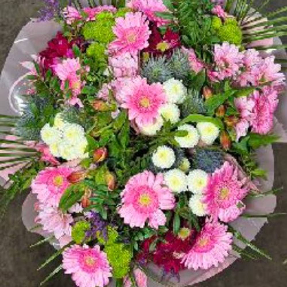 Strauß rosa mix Germini 18 Stiele 45cm