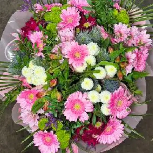 Strauß rosa mix Germini 18 Stiele 45cm