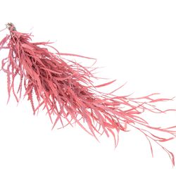 Grevilea rosa gefärbt 70cm