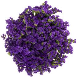 Statice violett Crystal Dark Blue 45Gramm 80cm