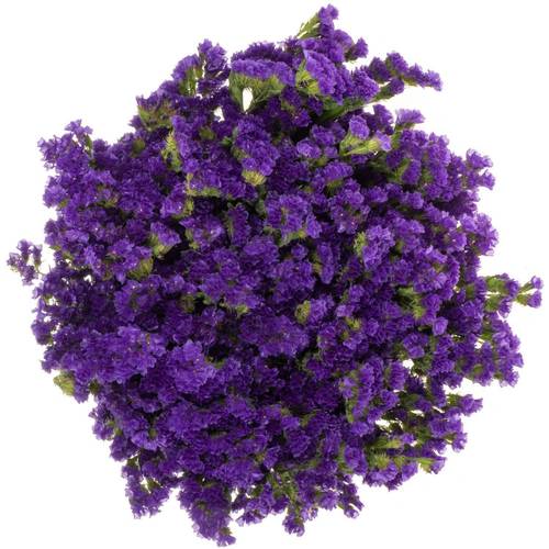 Statice violett Crystal Dark Blue 45Gramm 80cm