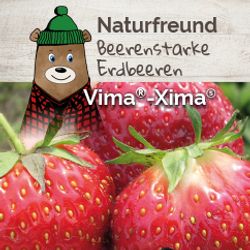 Fragaria Ananassa Vima Xima T09,5 H15