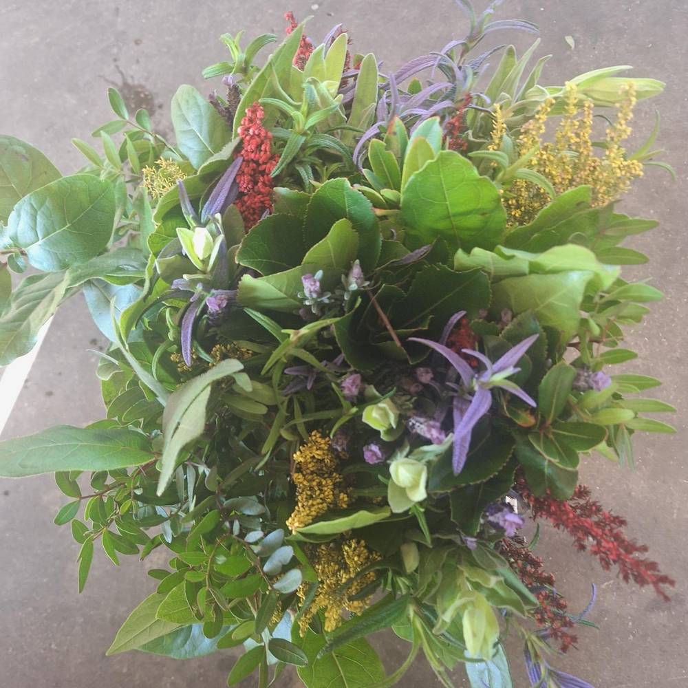 Cote D Azure mix 50cm