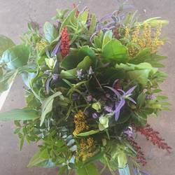 Cote D Azure mix 50cm