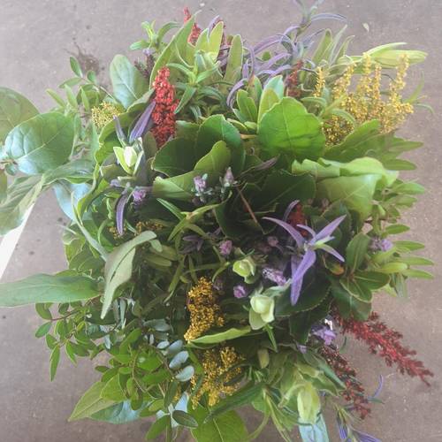 Cote D Azure mix 50cm