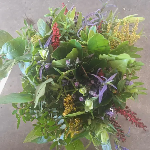 Cote D Azure mix 50cm