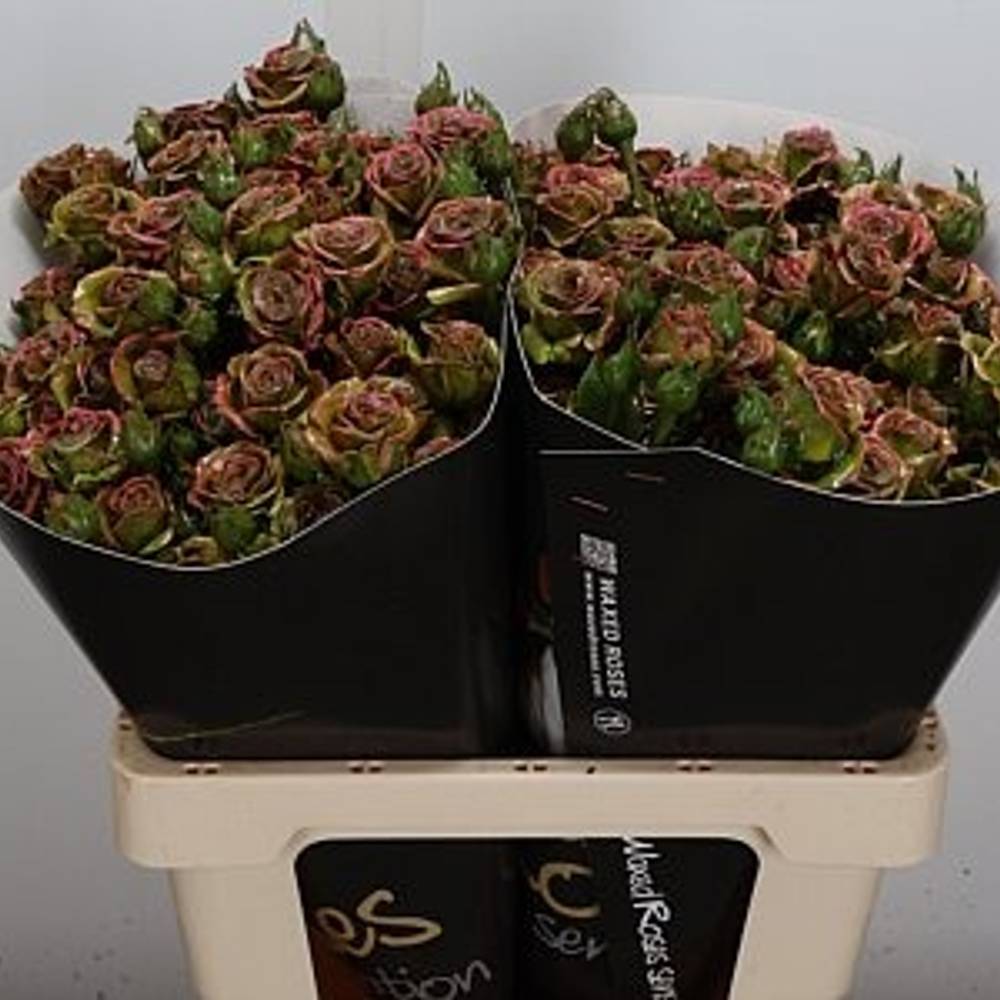 Rose verzweigt dunkel grün/braun Wachs Cl.Olive 60cm