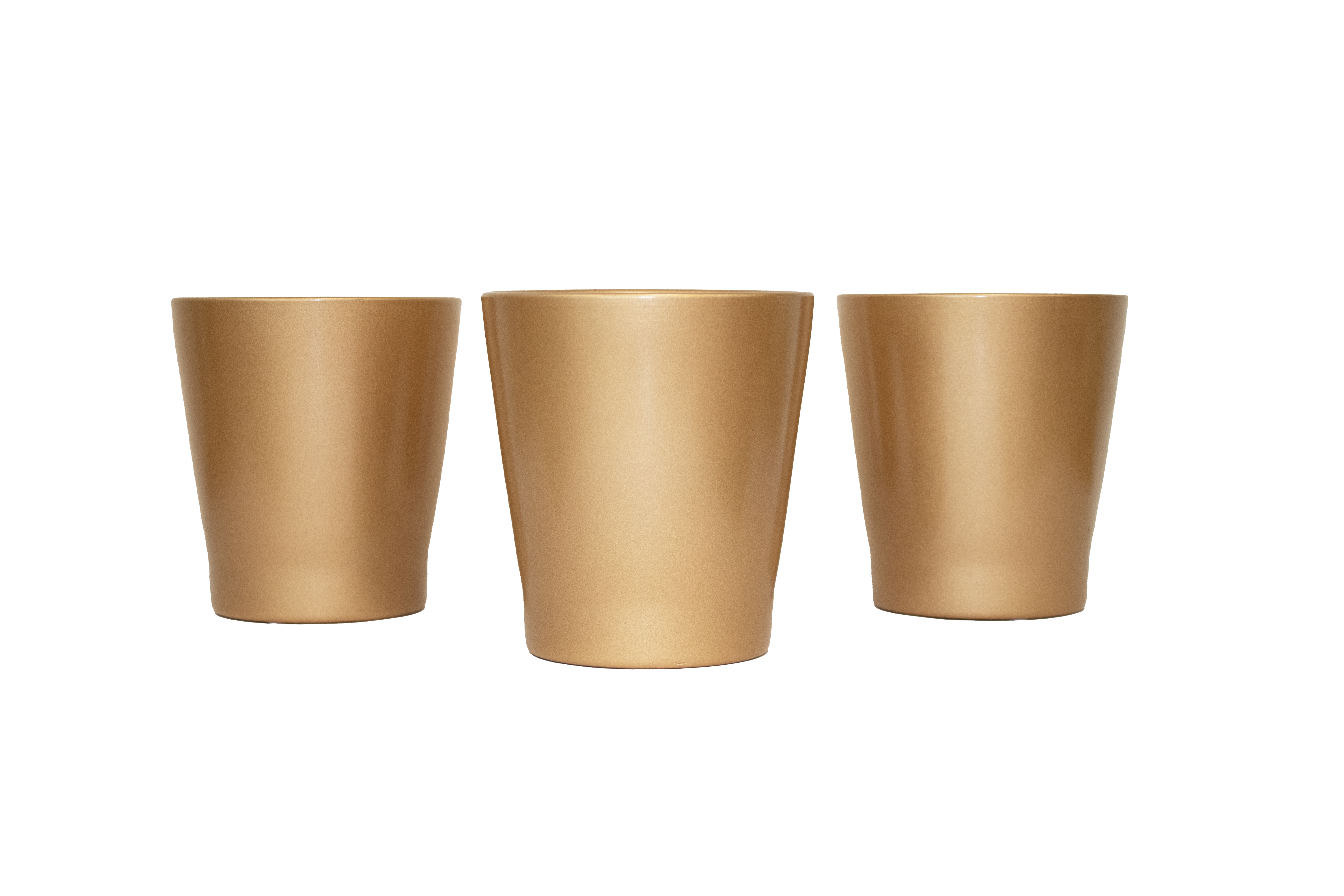 Helleborus Christmas Carol im Keramik gold T12 H020