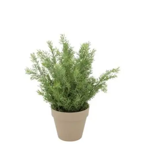 Seiden Zypresse im Übertopf 18x18x21cm