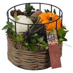 Garten.Arr PTSF8242 Herbst T17 H017