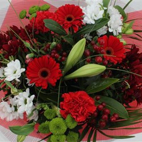 Strauß rot gross 24 Stiele 60cm