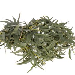 Eukalyptus grau Kapsel blatt 500 Gramm 70cm