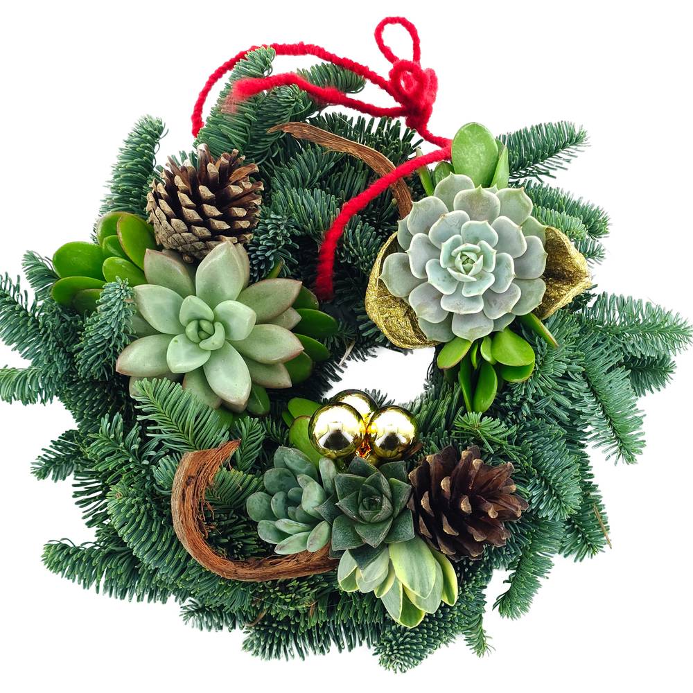 Kranz mit Succulenten D30cm #1 Weihnachten