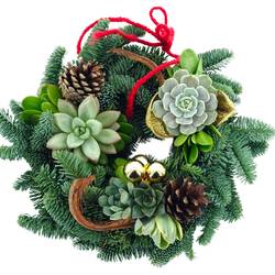 Kranz mit Succulenten D30cm #1 Weihnachten