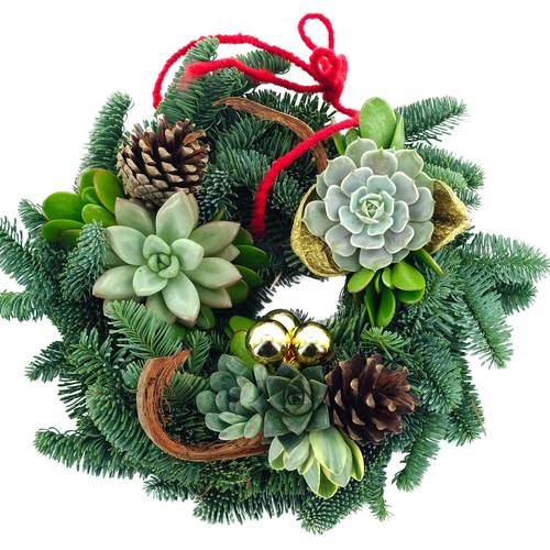 Kranz mit Succulenten D30cm #1 Weihnachten