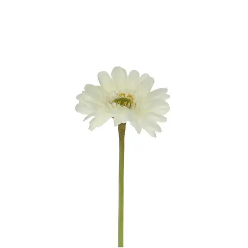 Seiden Gerbera weiss L55cm