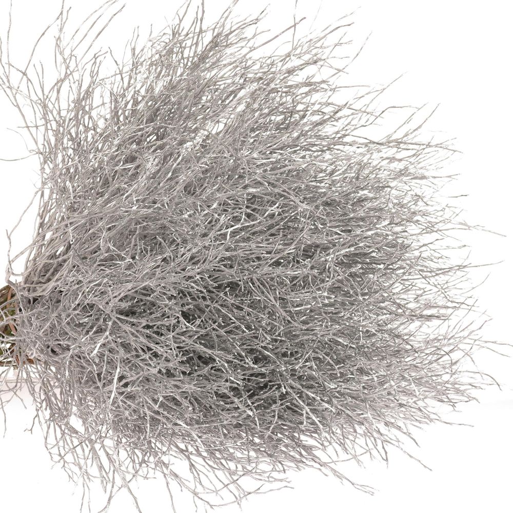 Heidelbeere silber gefärbt