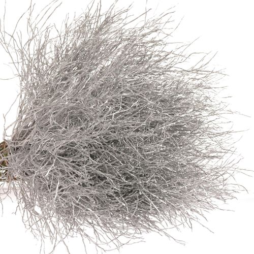 Heidelbeere silber gefärbt