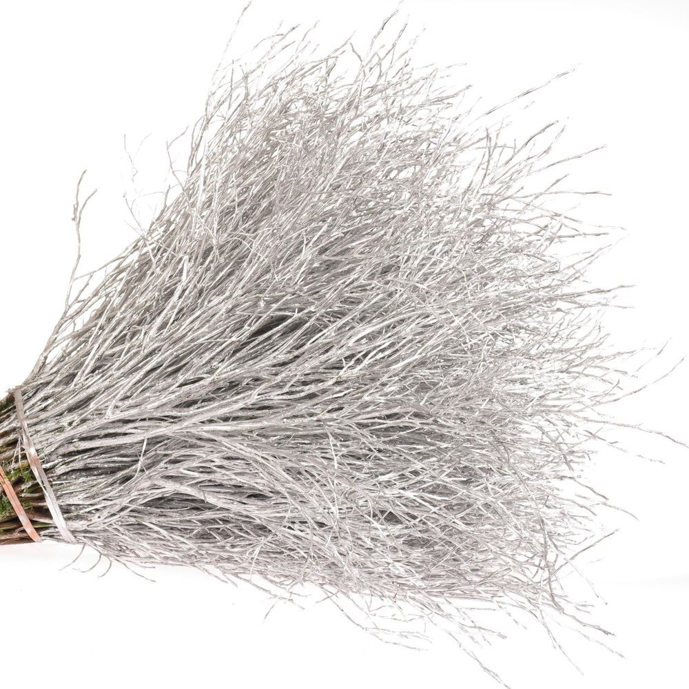 Heidelbeere silber gefärbt