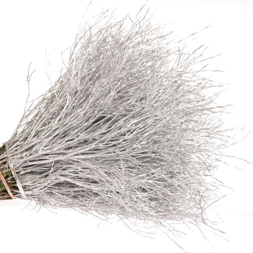 Heidelbeere silber gefärbt