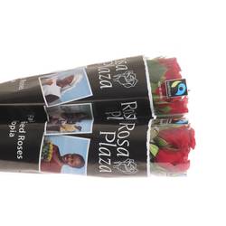 Rose rot Red Ribbon 50cm Fairtrade