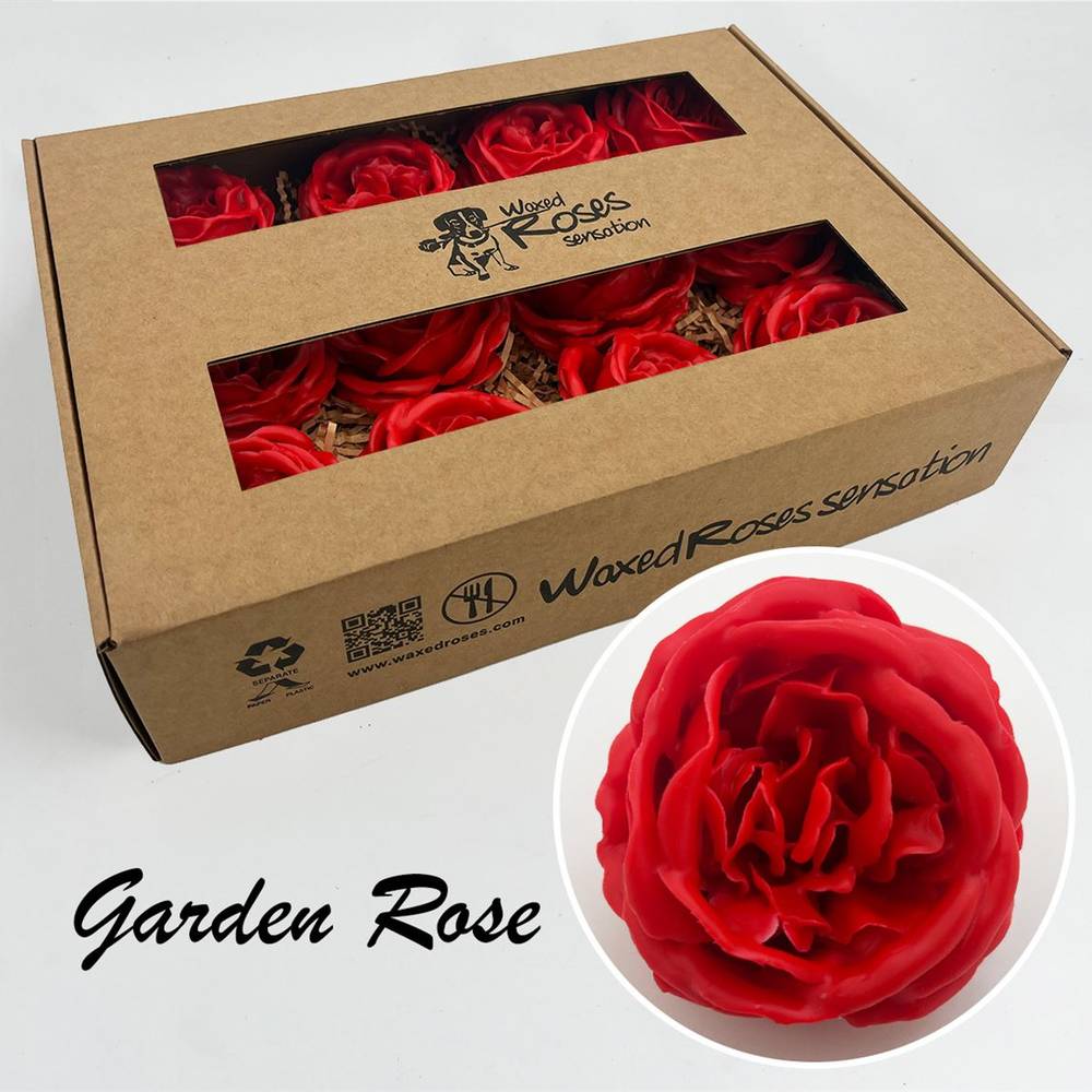 Seiden Wachs Gartenrose rot