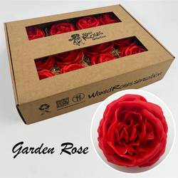 Seiden Wachs Gartenrose rot
